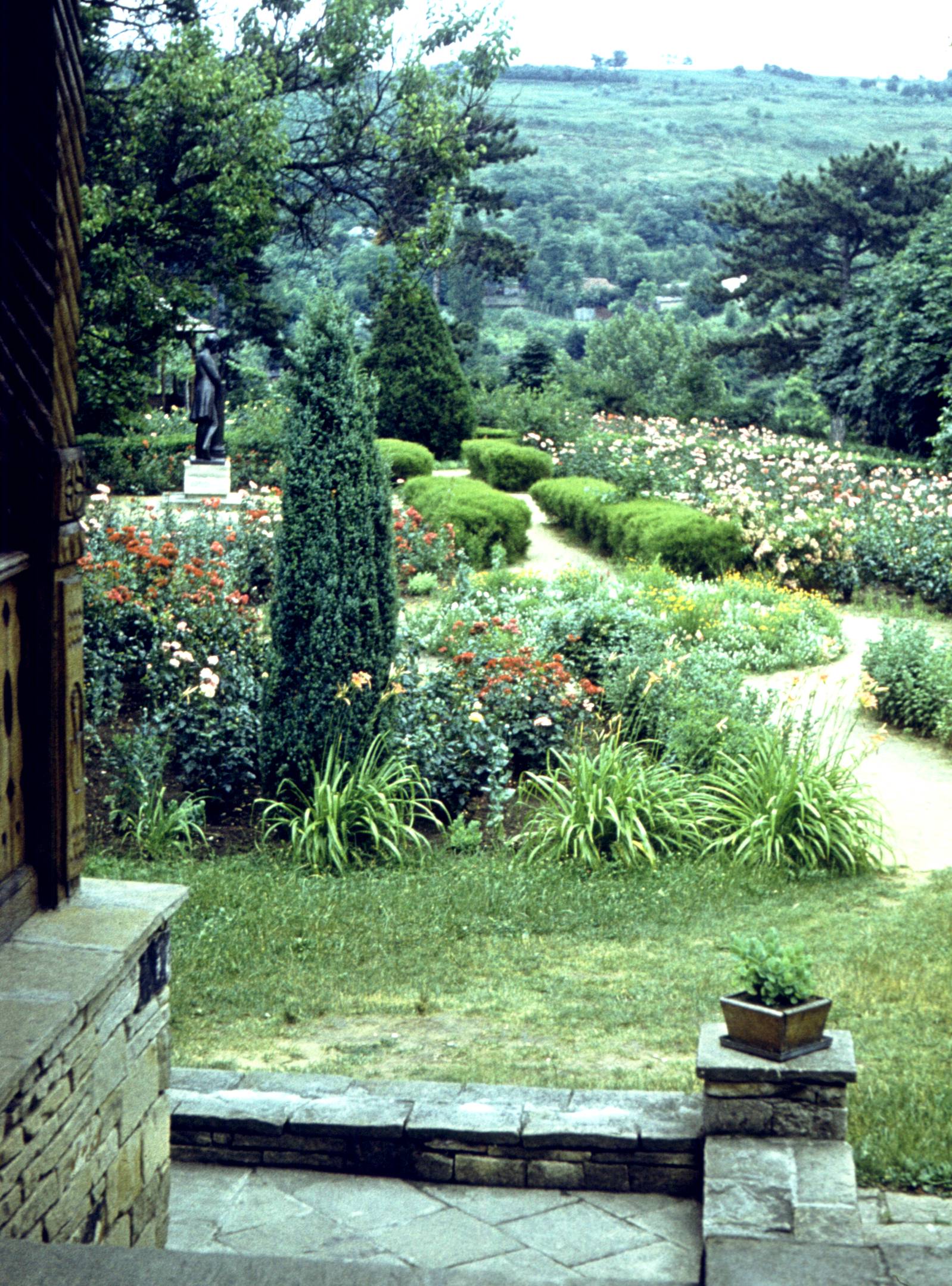 156.jpg