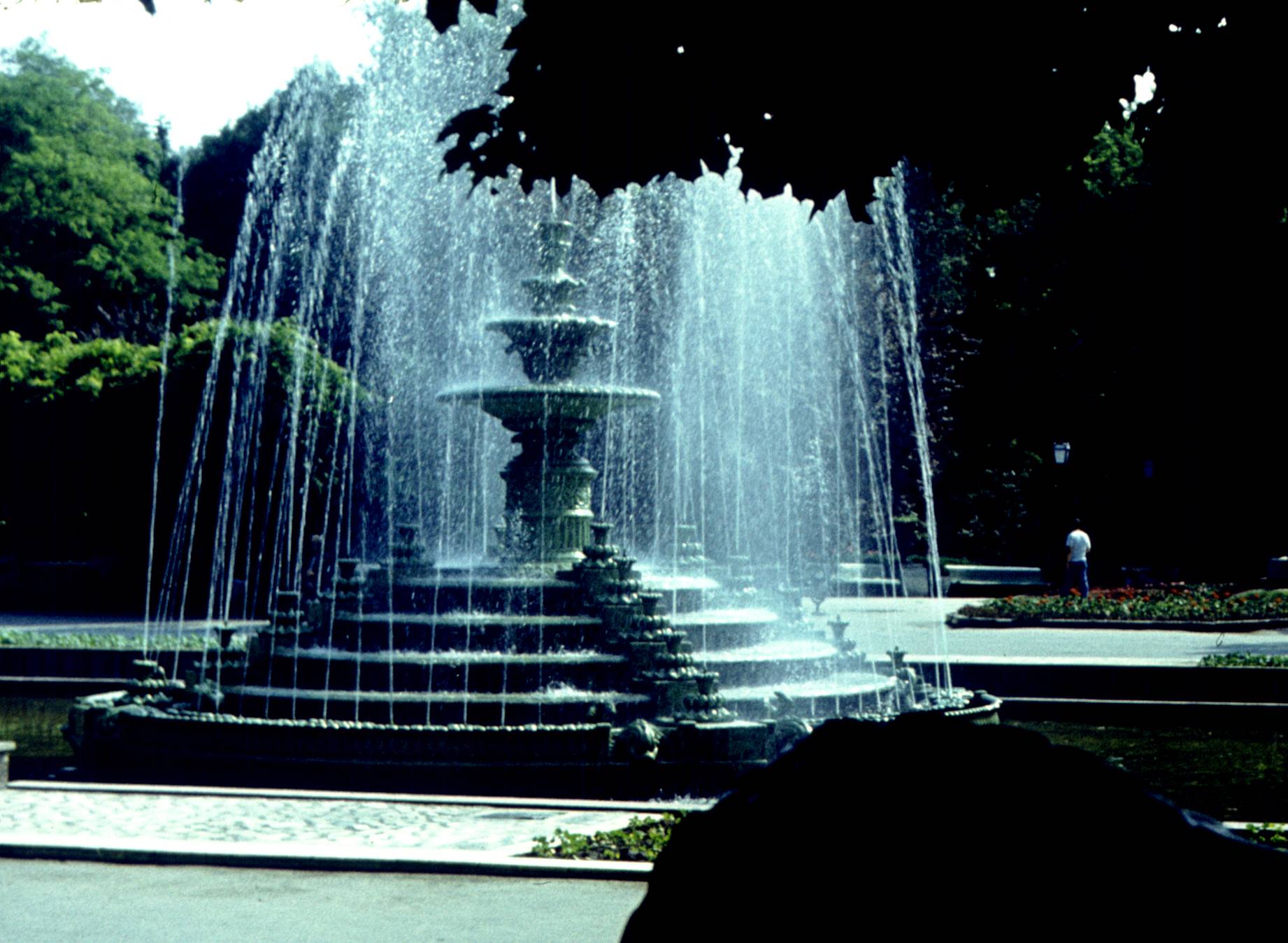 160.jpg
