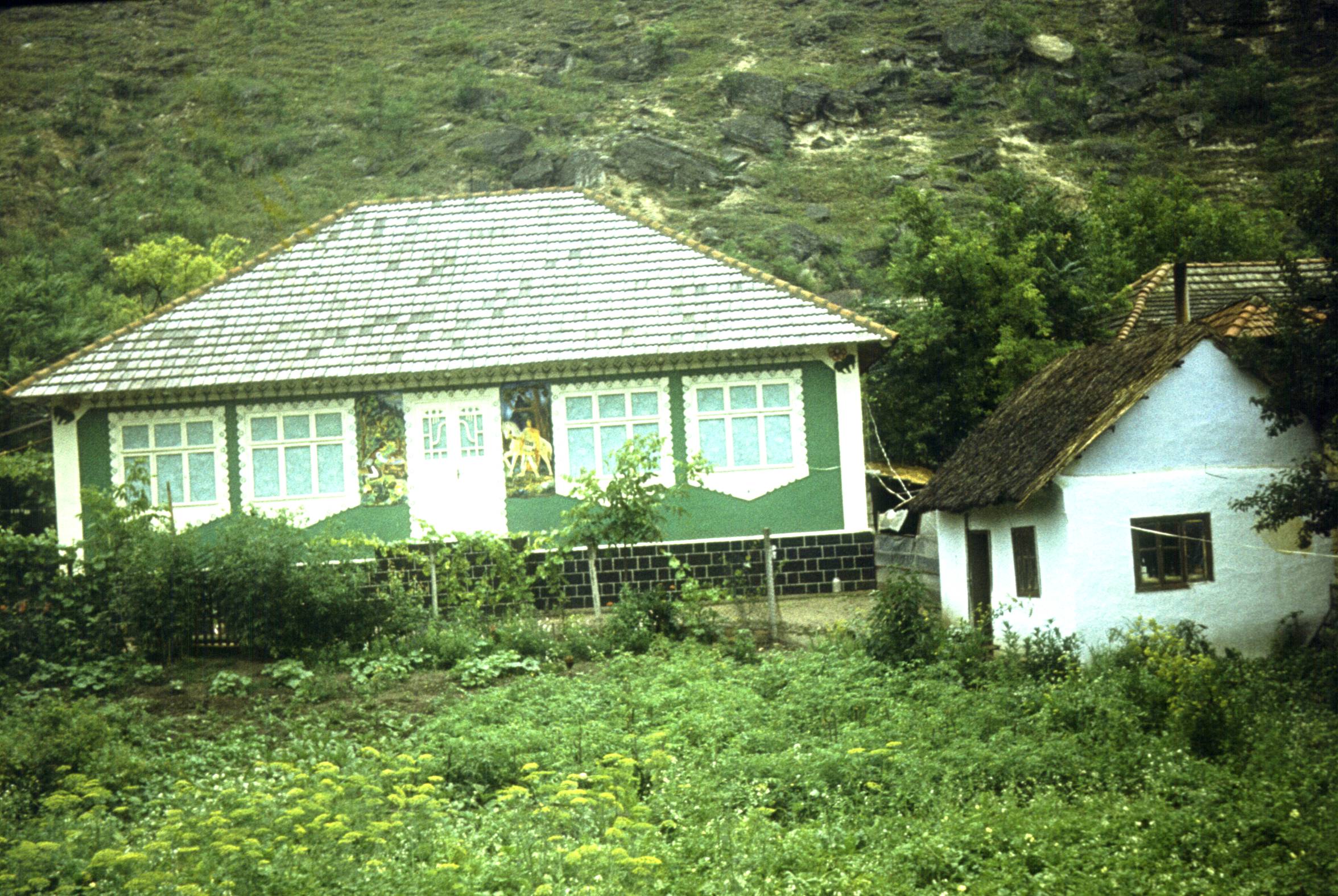 186.jpg