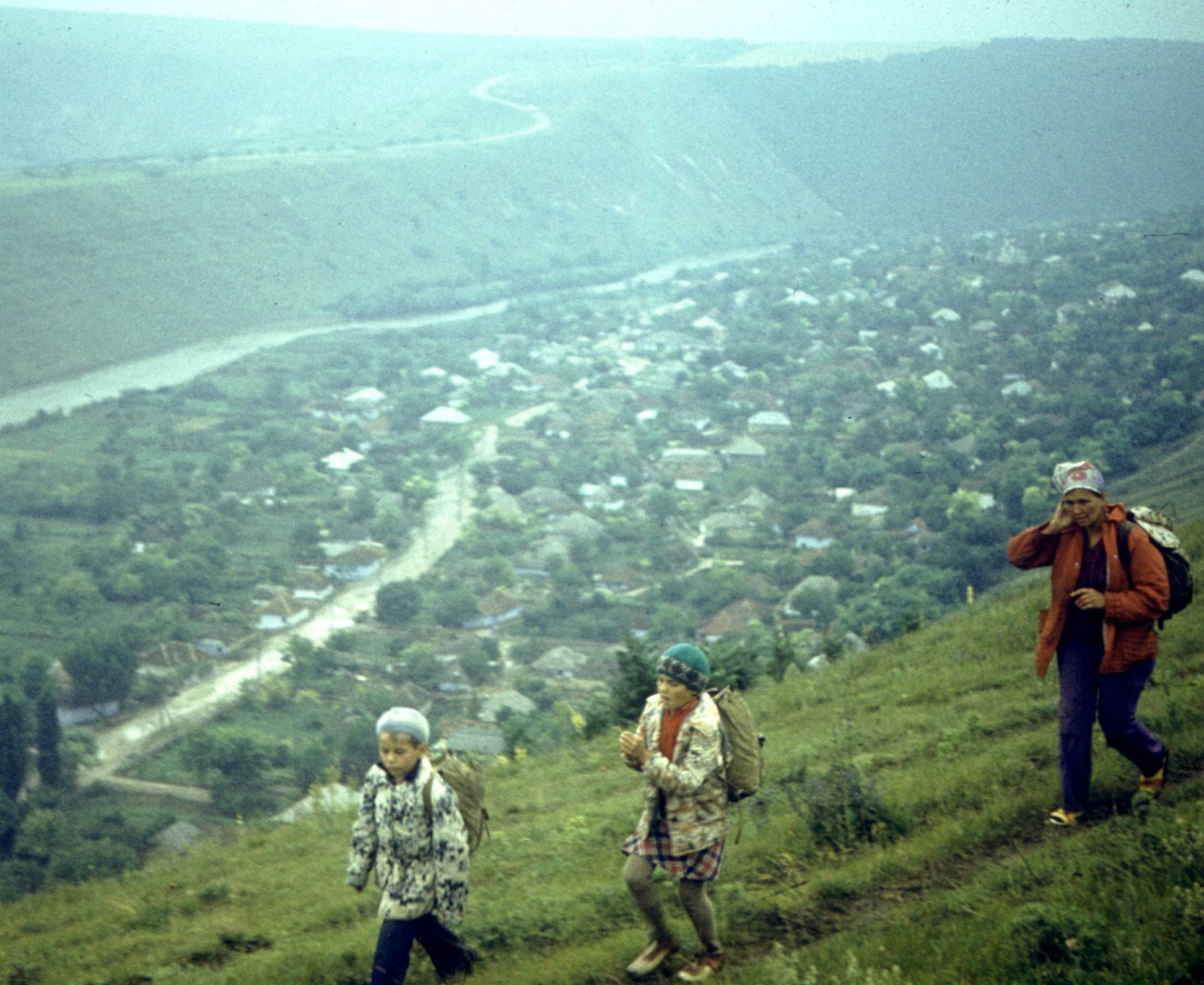 194.jpg