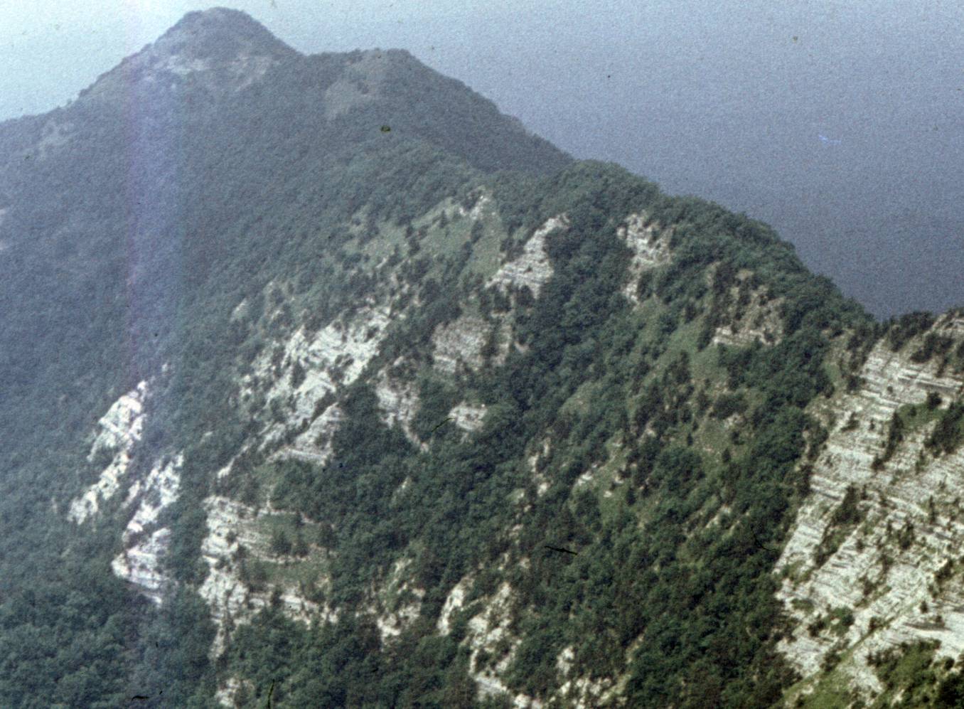 035-1.jpg