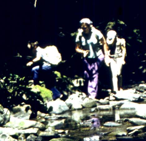071-1.jpg
