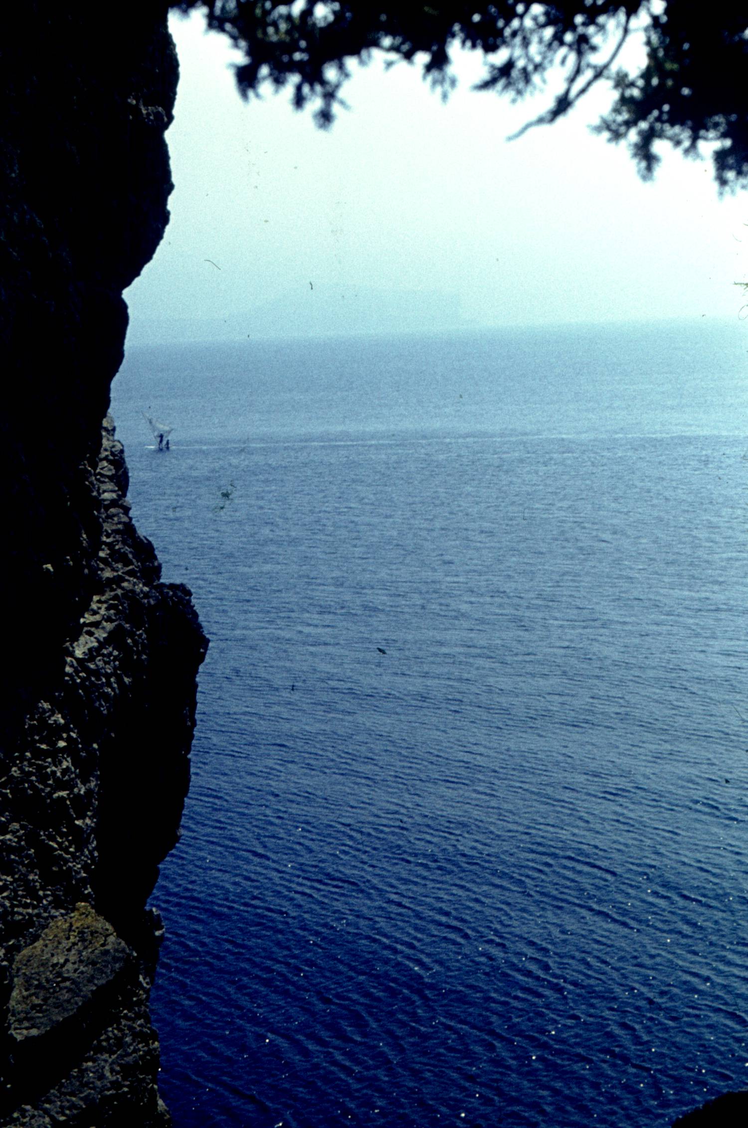 136.jpg