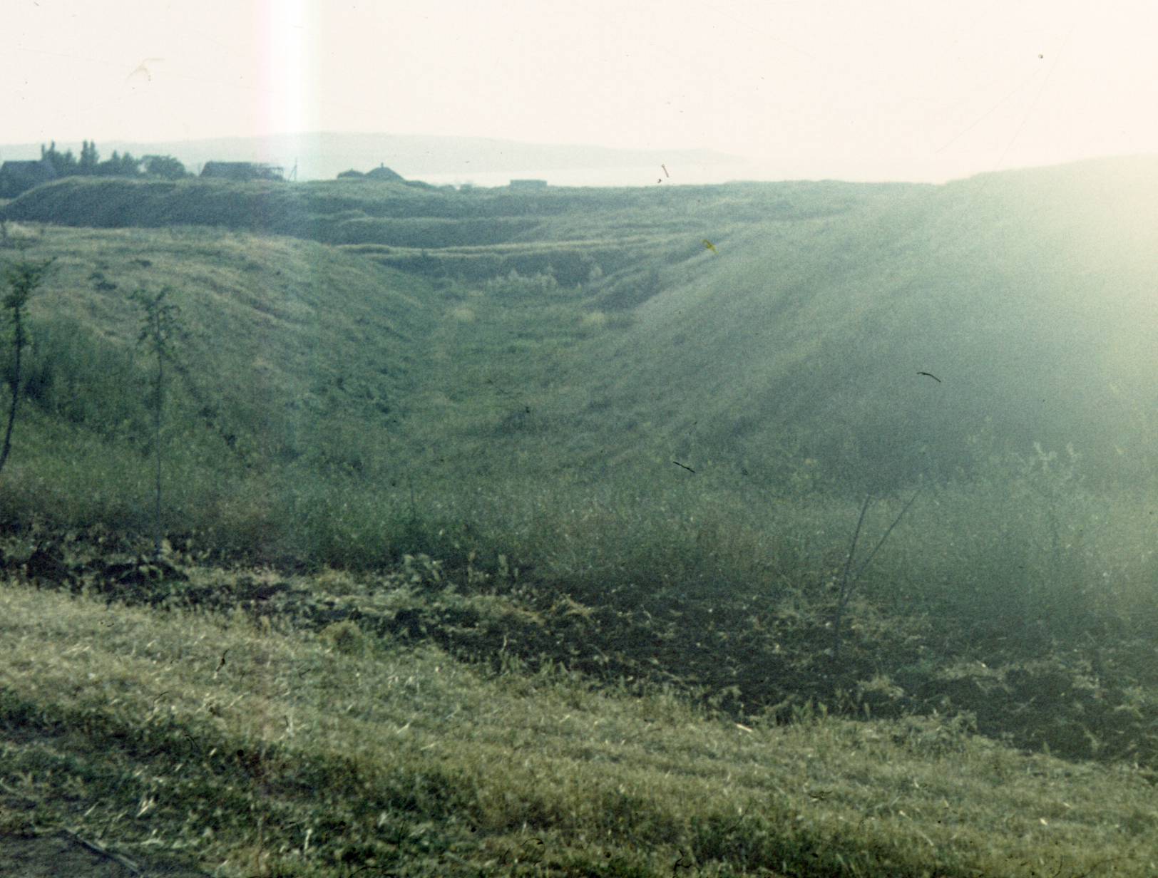 151.jpg