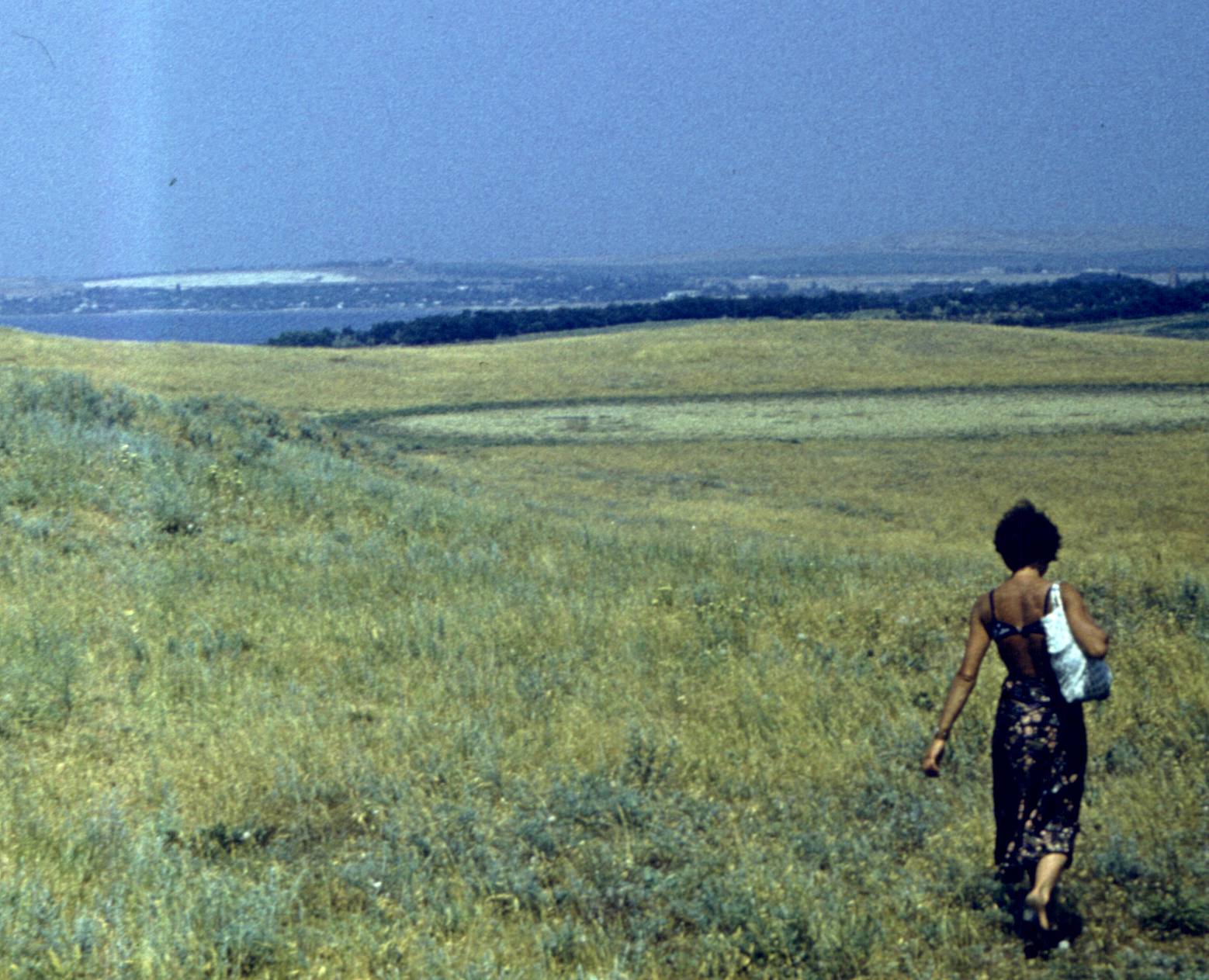 196.jpg