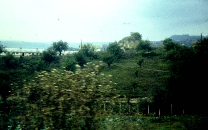 005.jpg