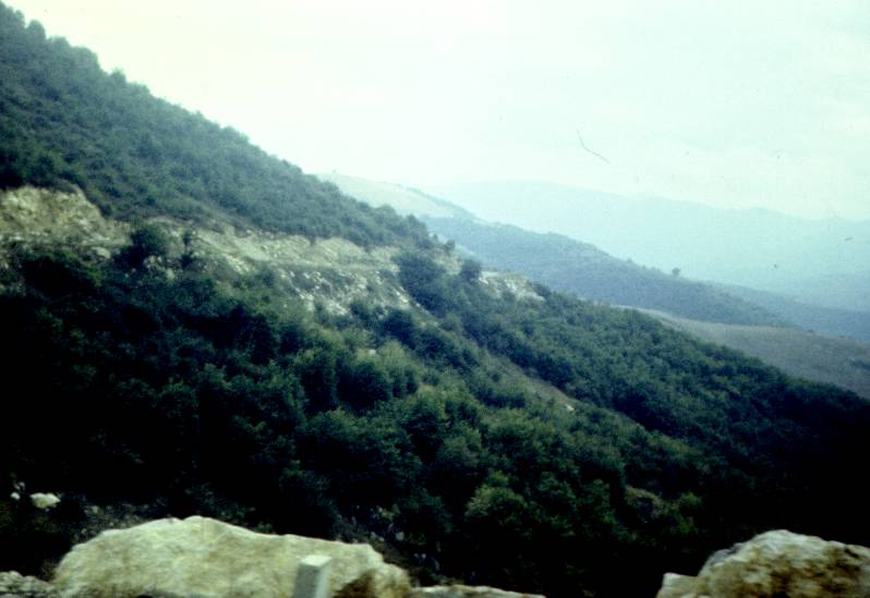 006.jpg