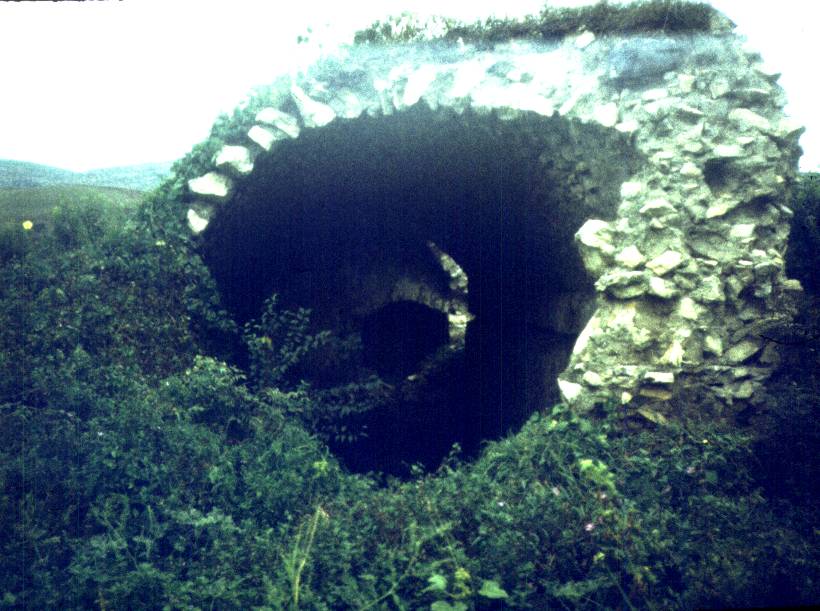 045.jpg