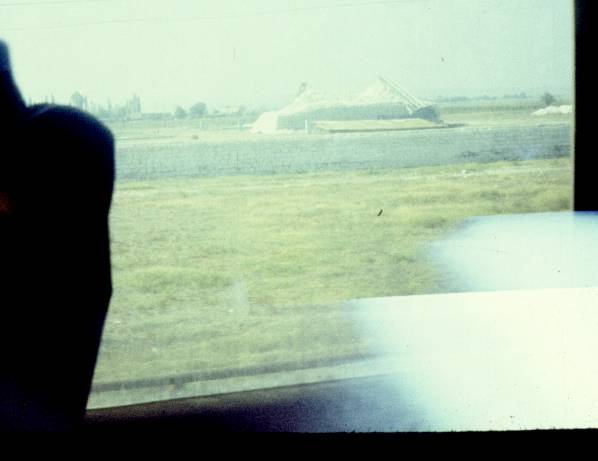 055.jpg
