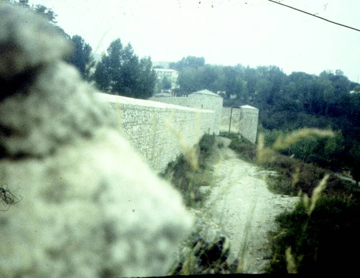 074.jpg