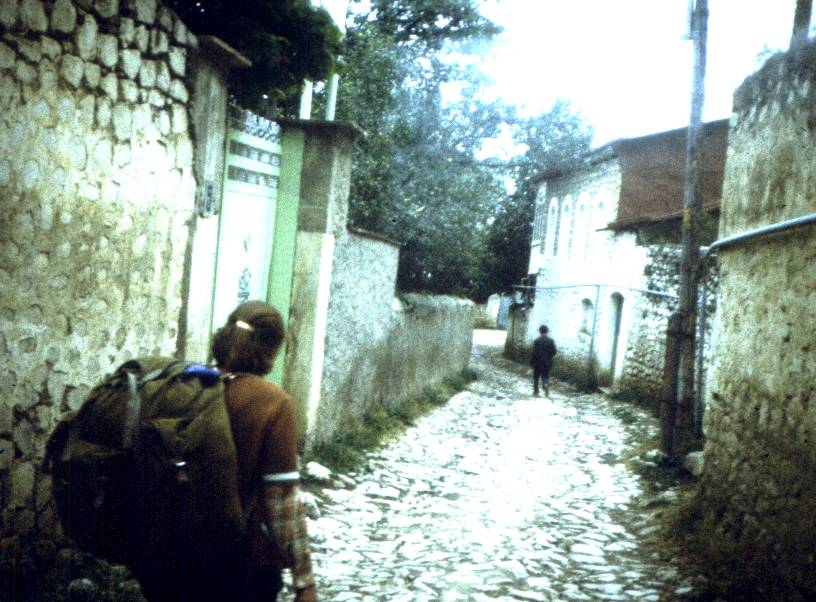 113.jpg