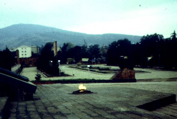 169.jpg