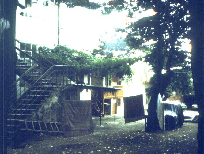 193.jpg