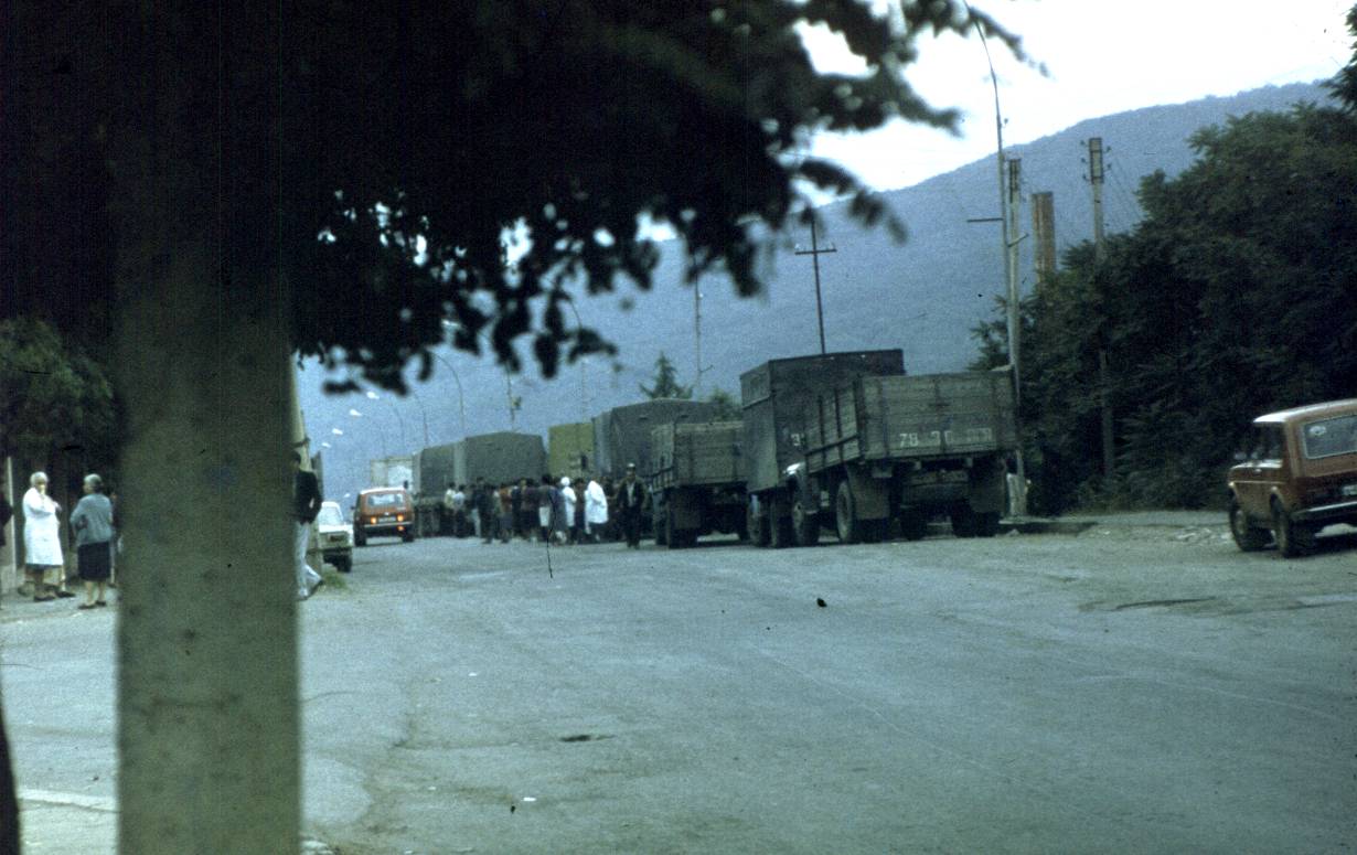 195.jpg