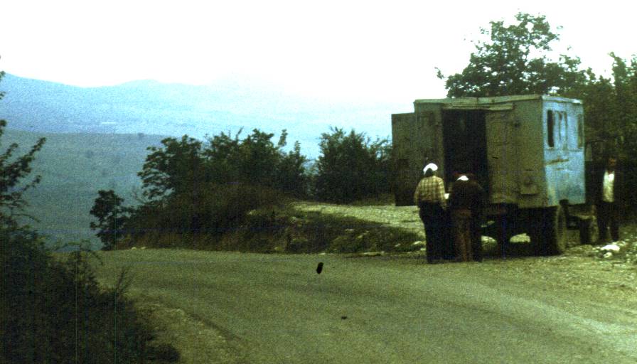 198.jpg