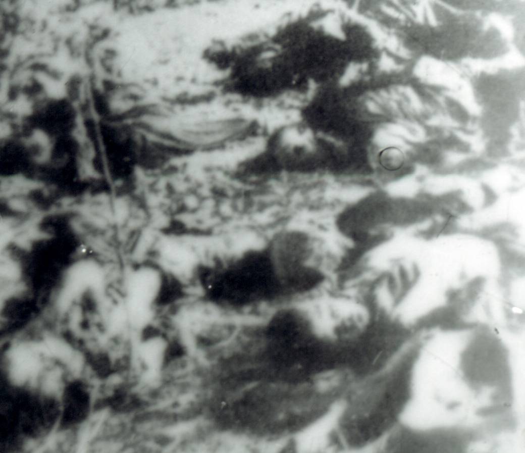 112-1.jpg