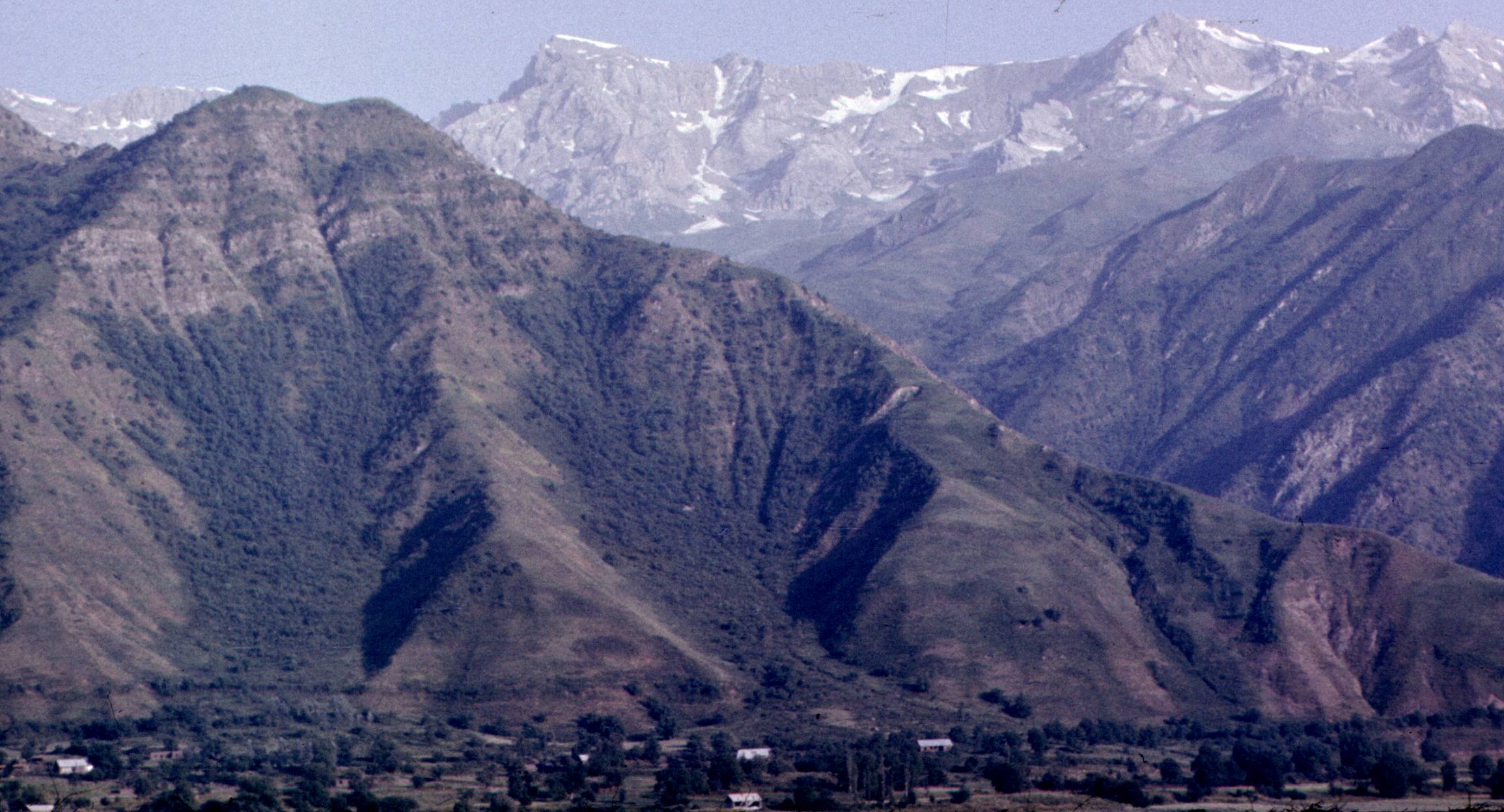 132.jpg