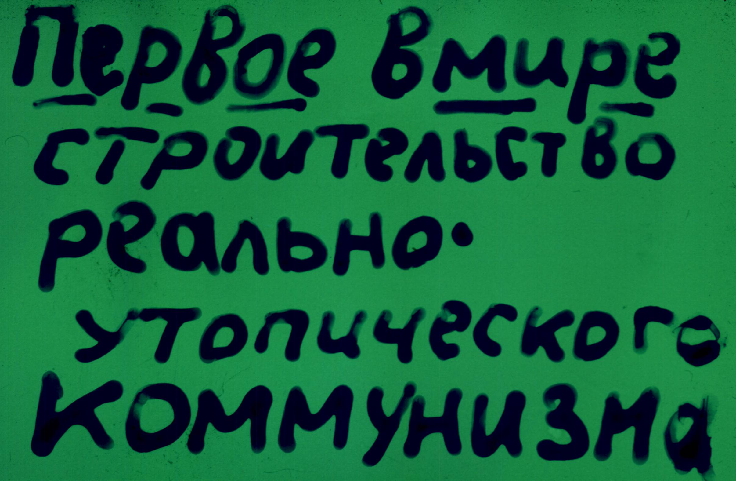 141.jpg