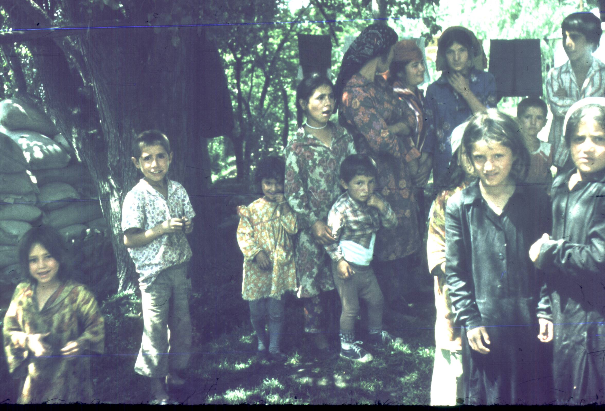 331.jpg
