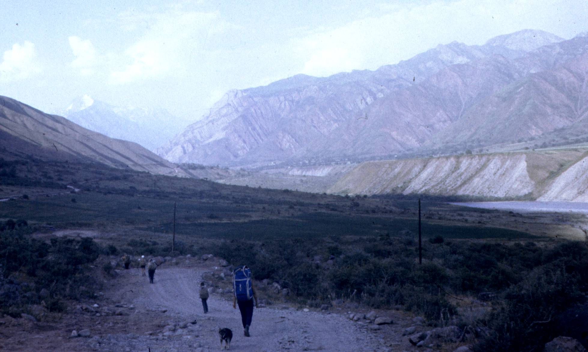 153.jpg