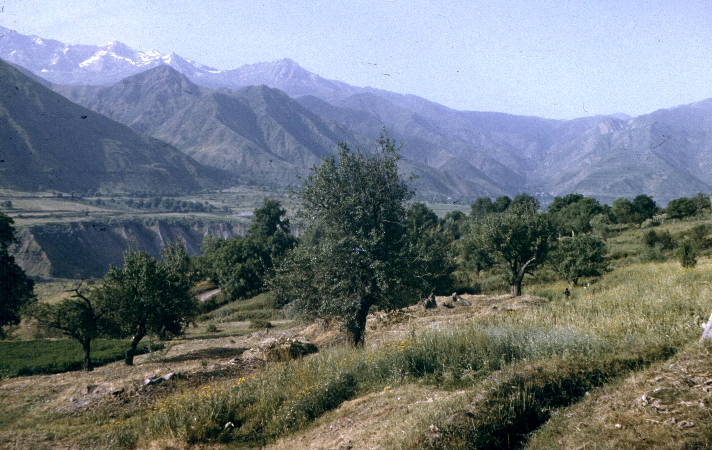 173.jpg