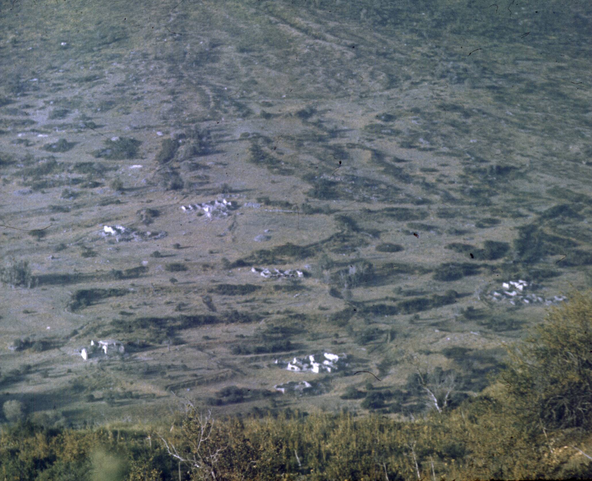 174.jpg