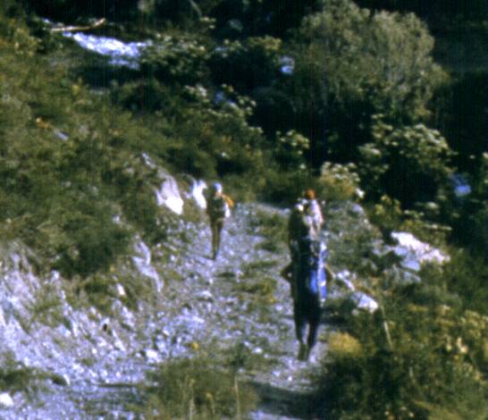178-1.jpg