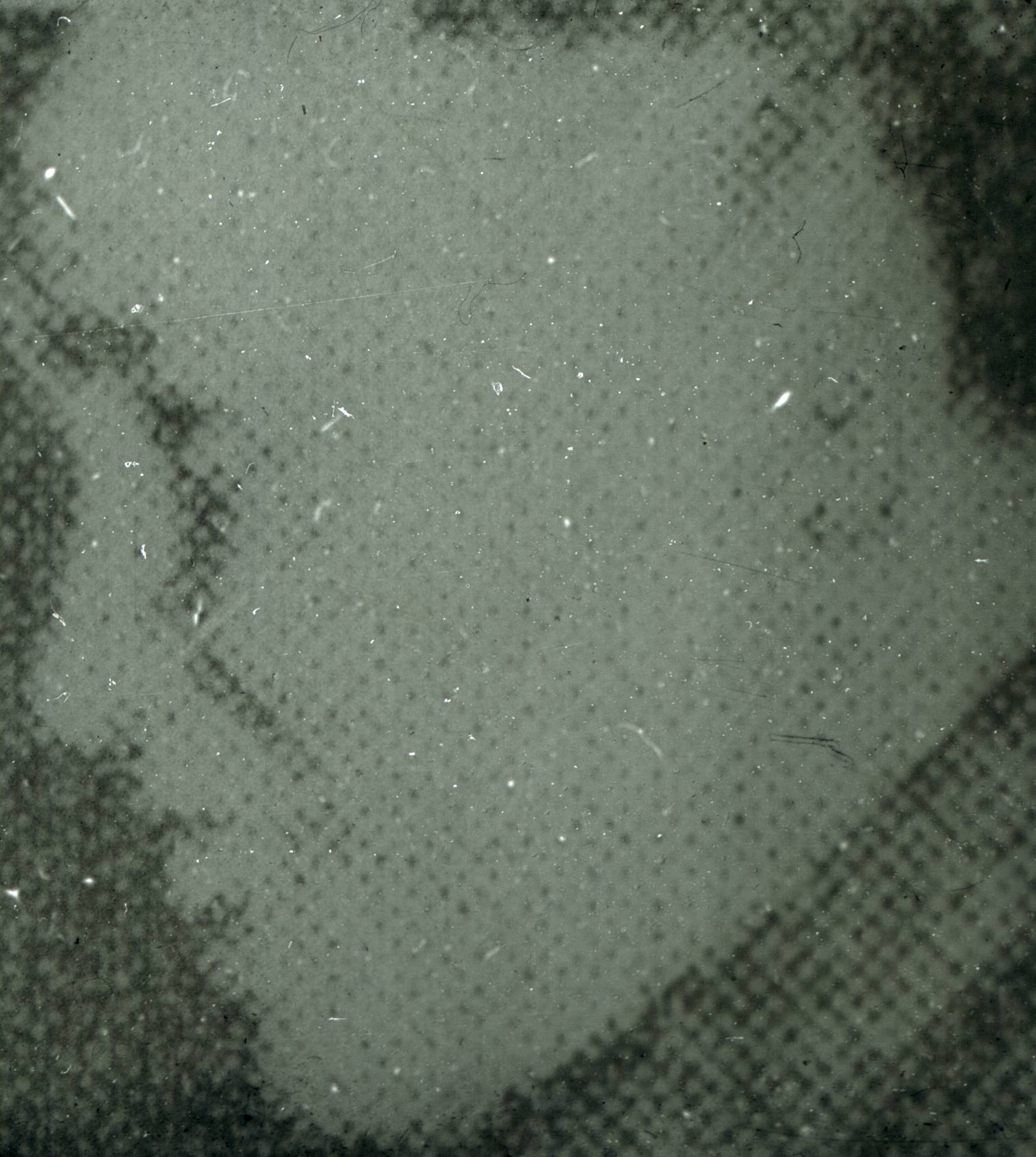 191.jpg