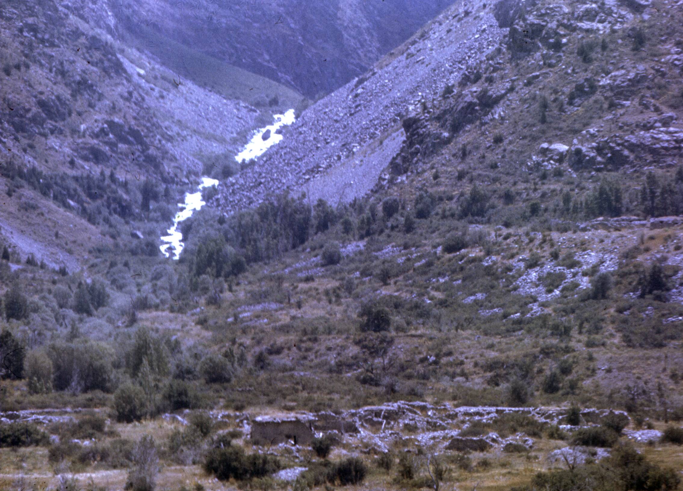 205.jpg