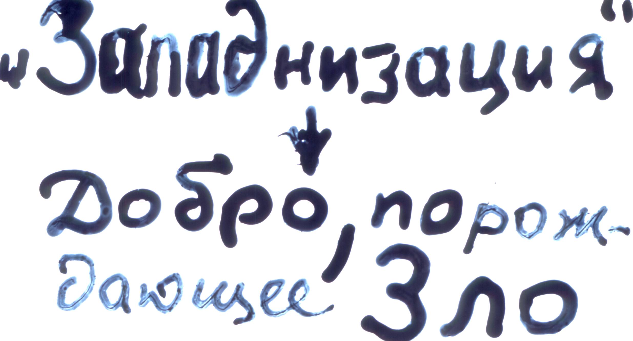 215.jpg