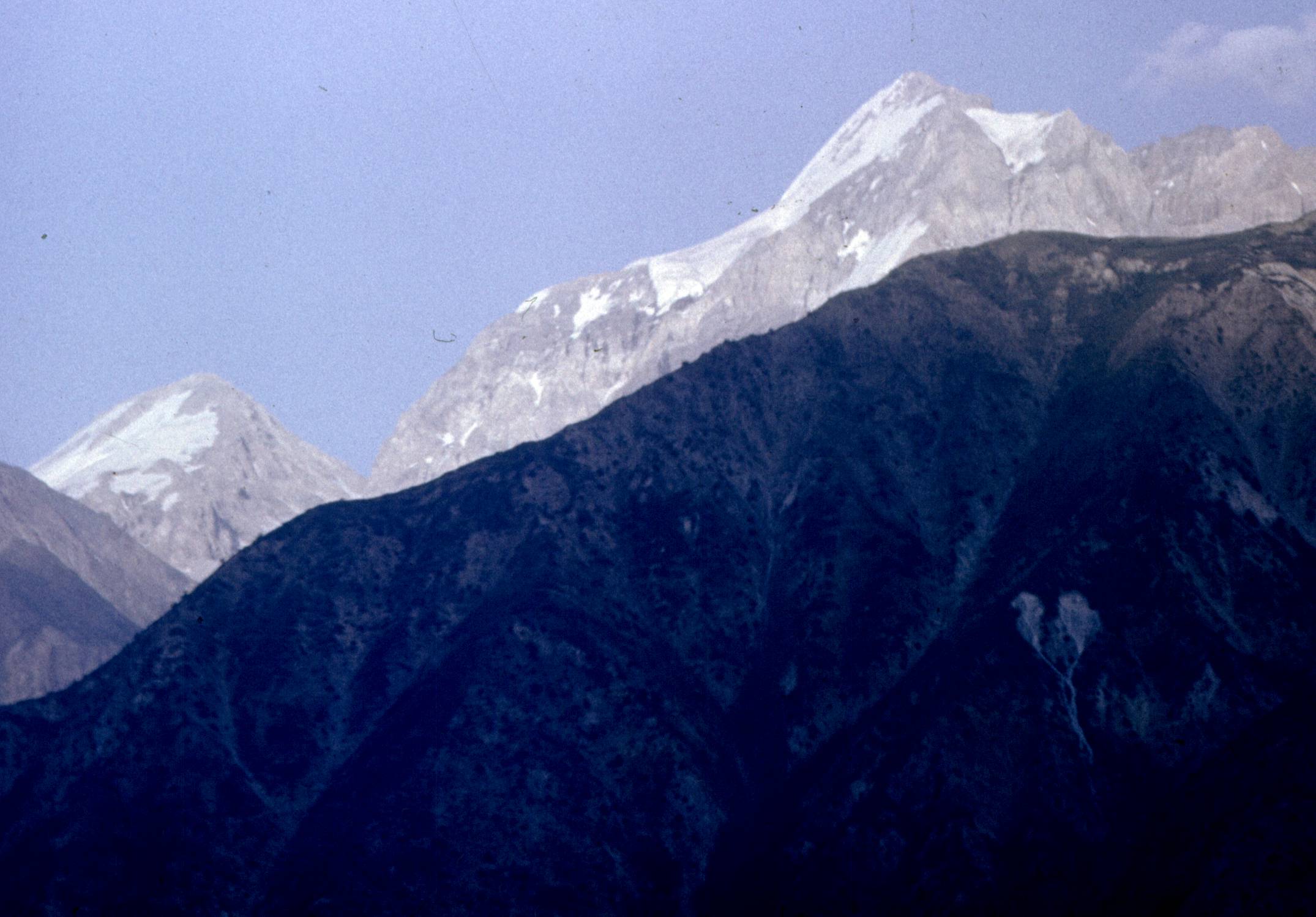 221.jpg