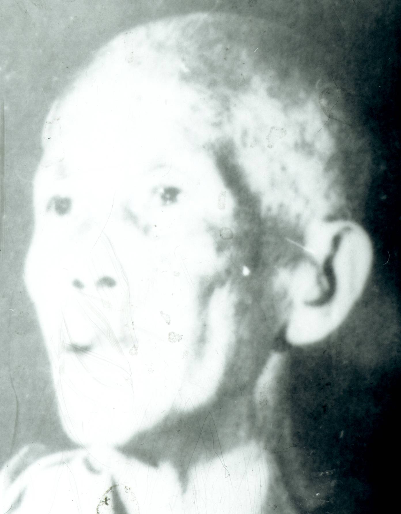 230.jpg