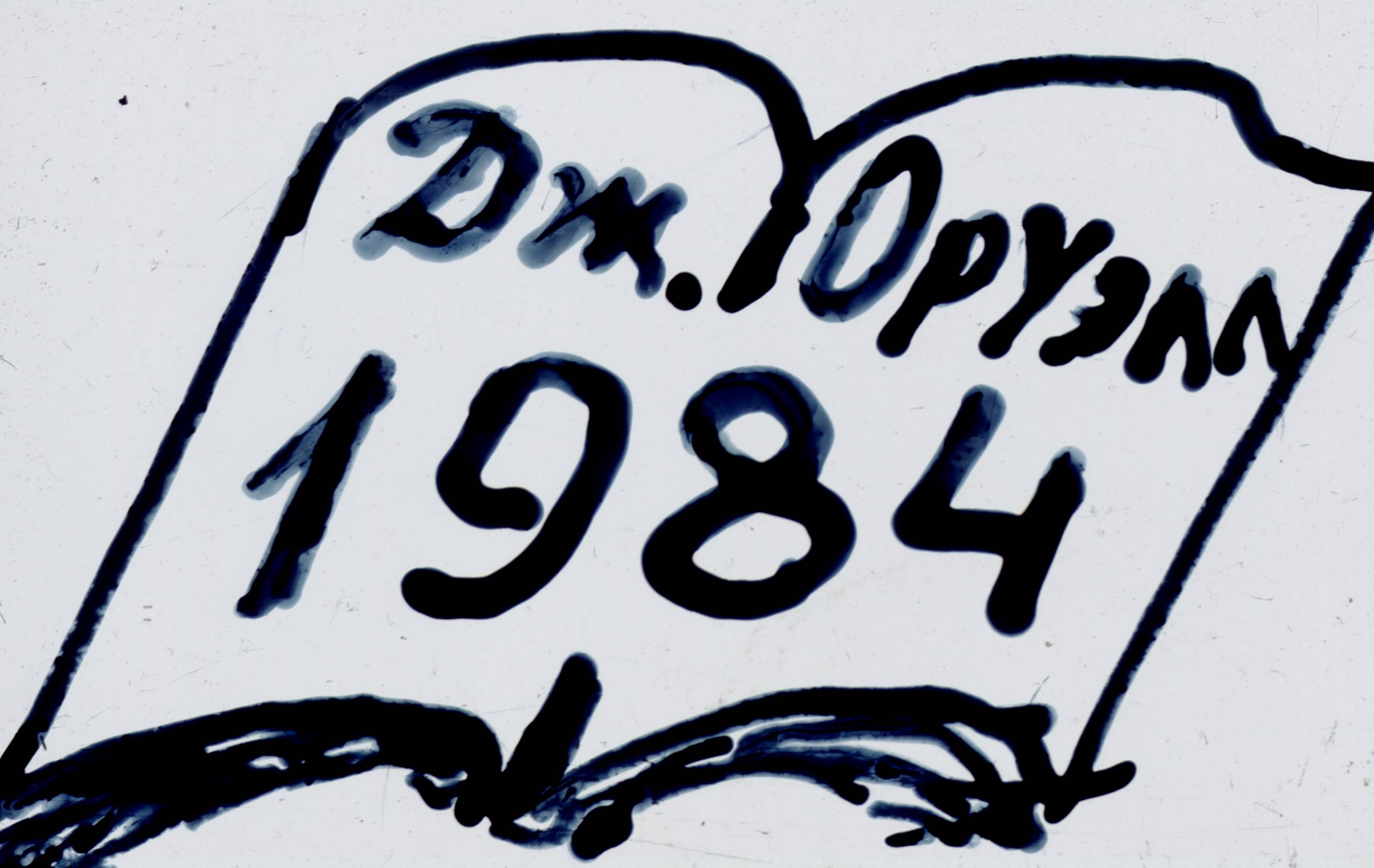 236.jpg