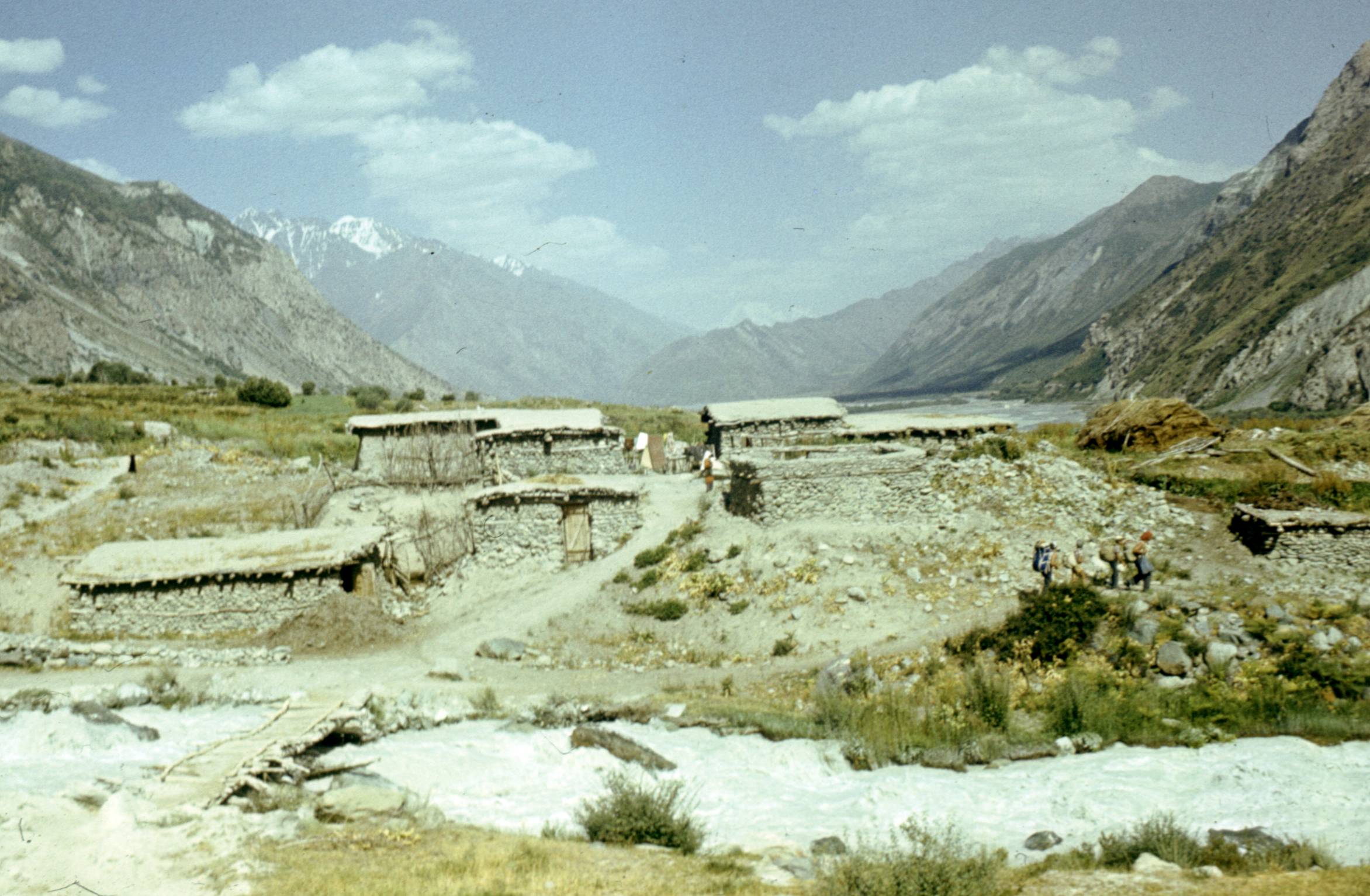 264.jpg