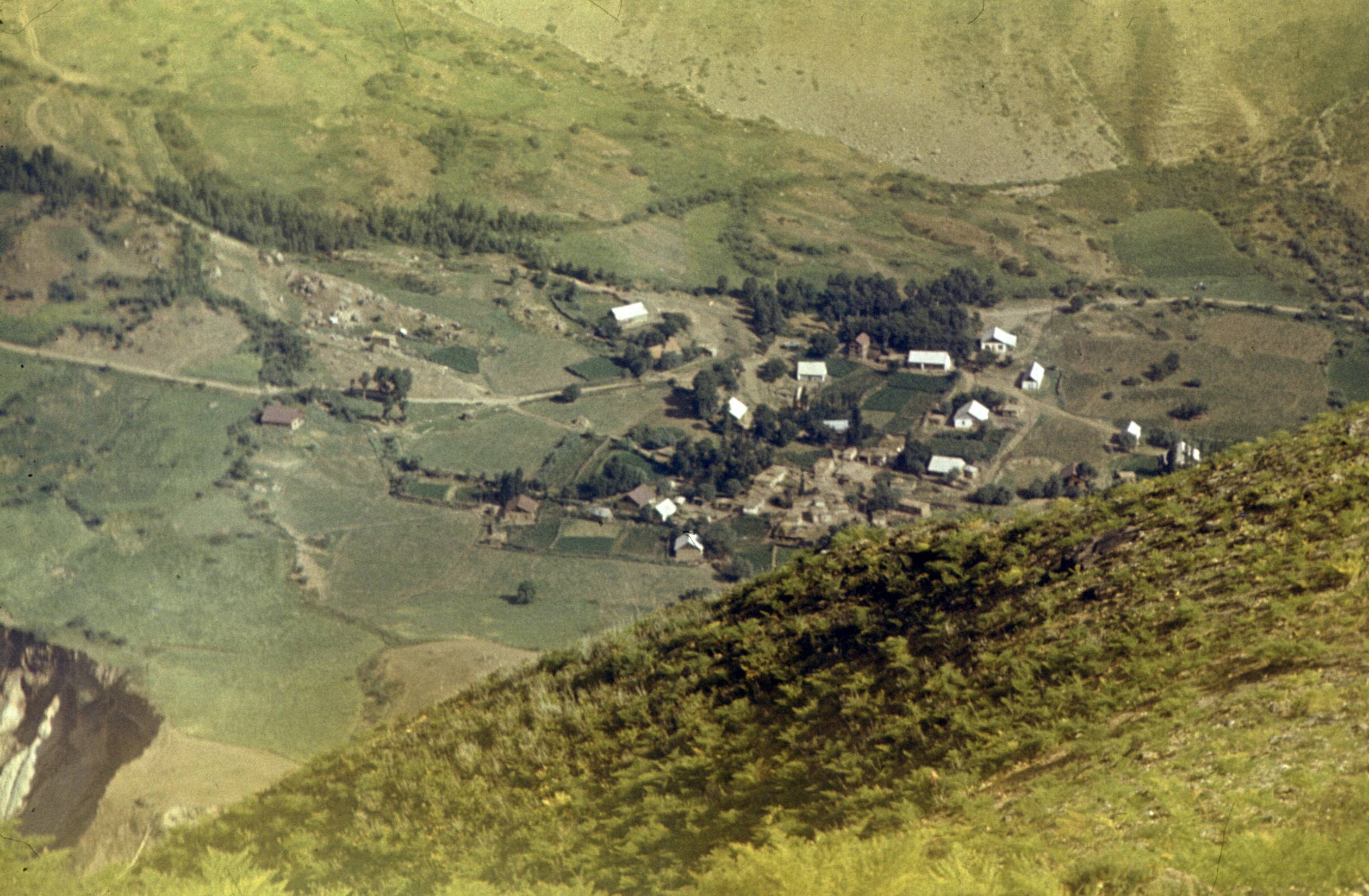 278.jpg