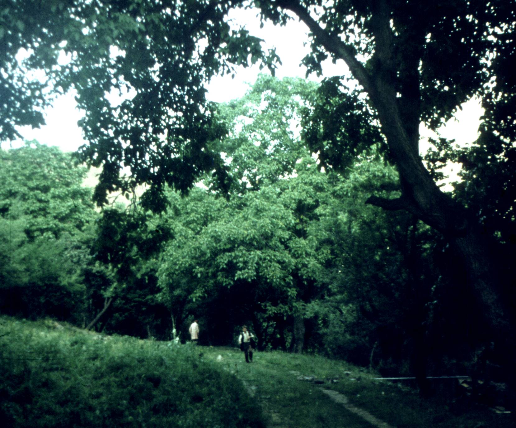 285.jpg